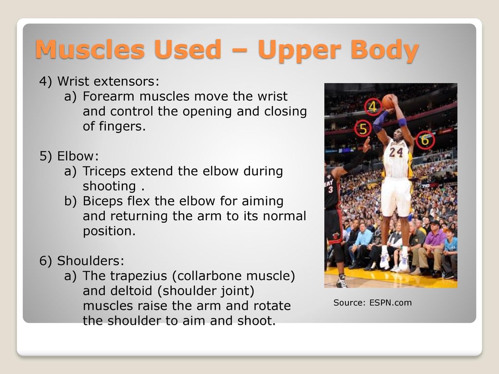 Biomechanics of Jumping during a Basketball Shot - ppt download