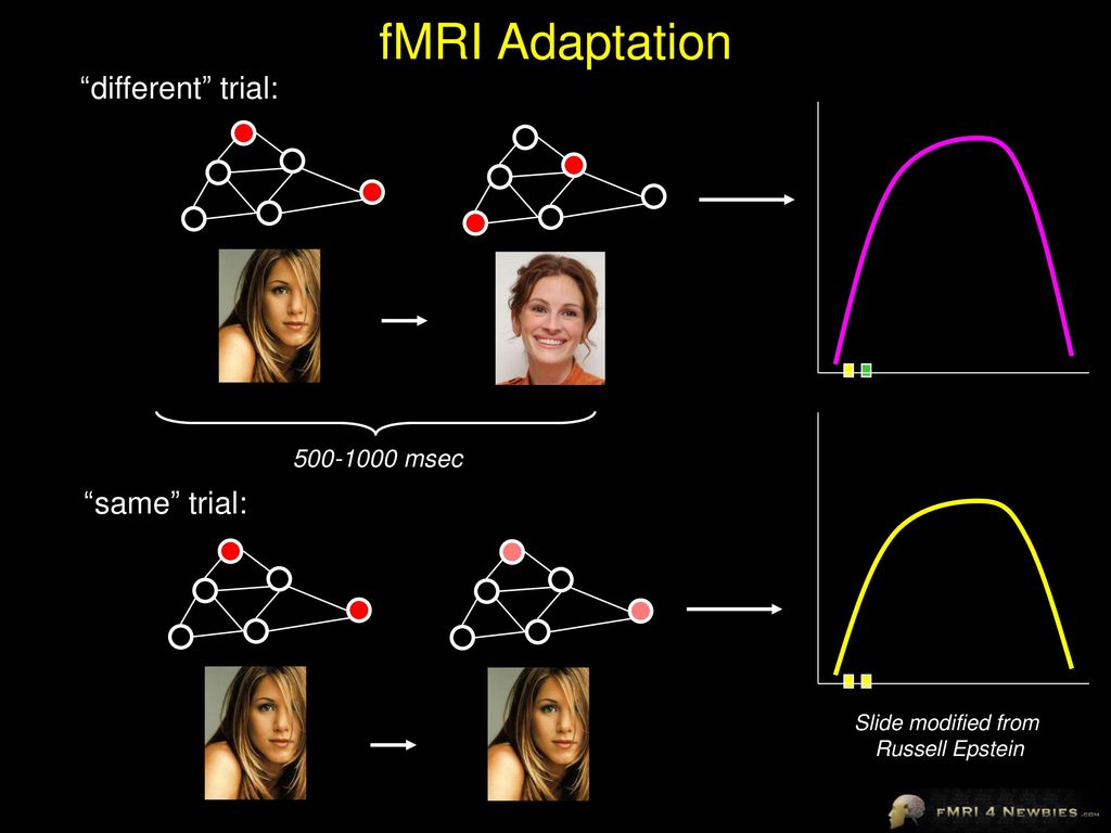 fMRI Adaptation different trial: same trial: msec