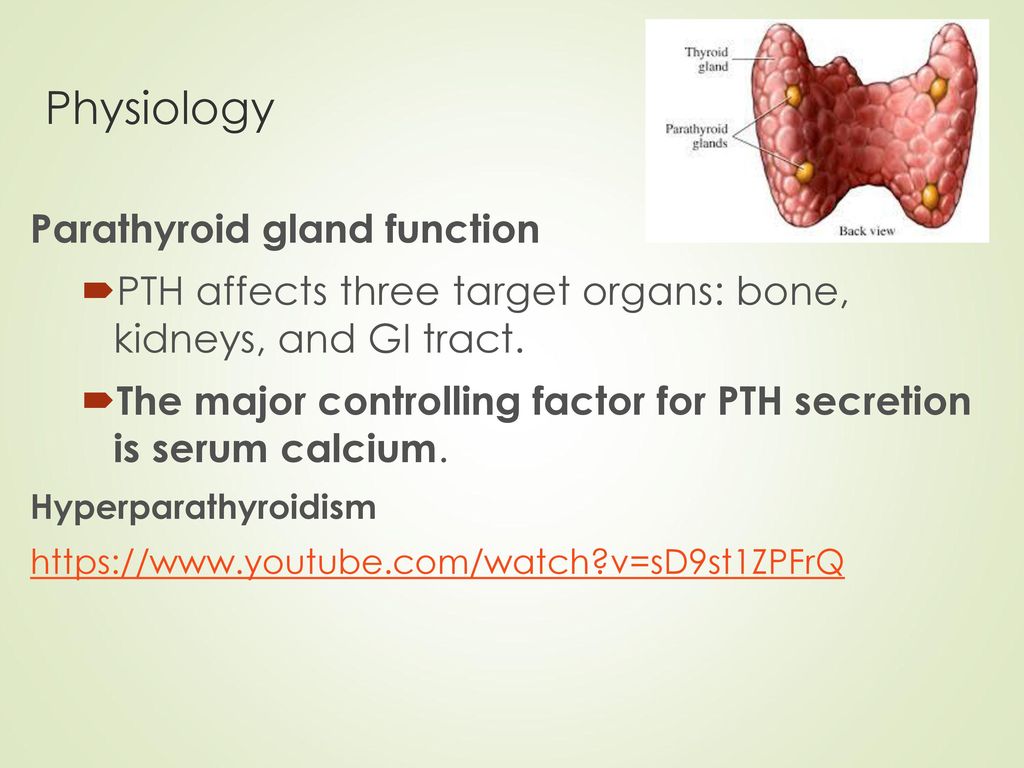 the three target organs for pth are