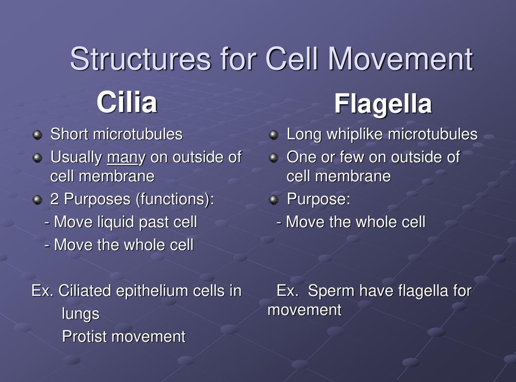 Structures for Cell Movement