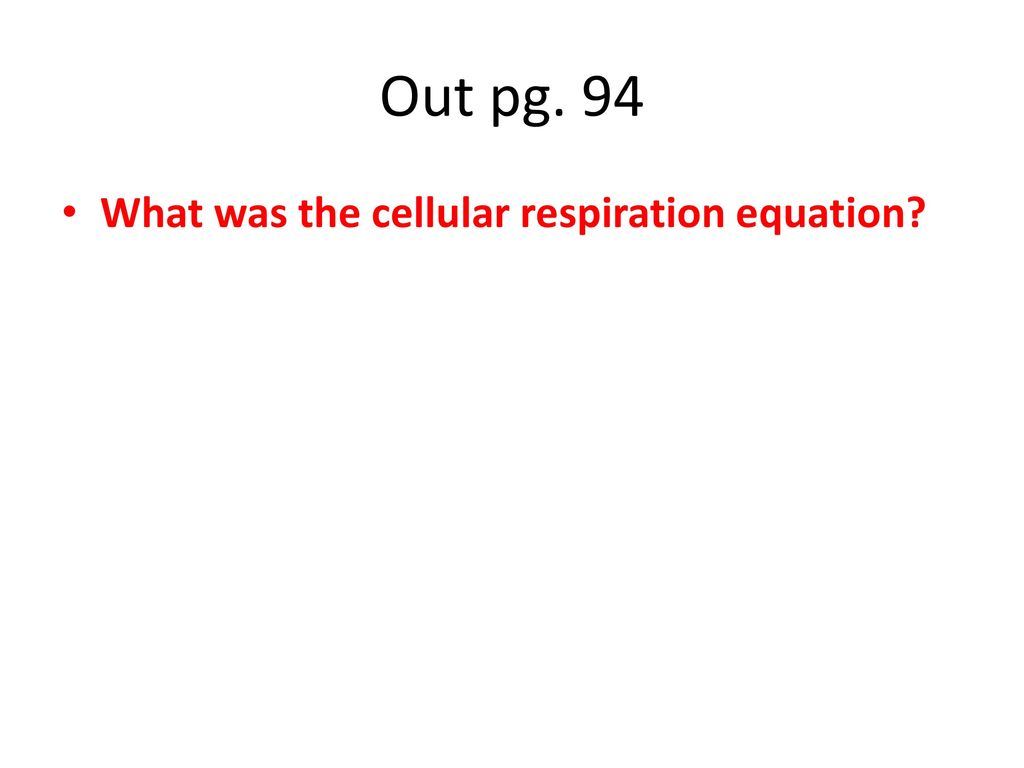 Out pg. 94 What was the cellular respiration equation