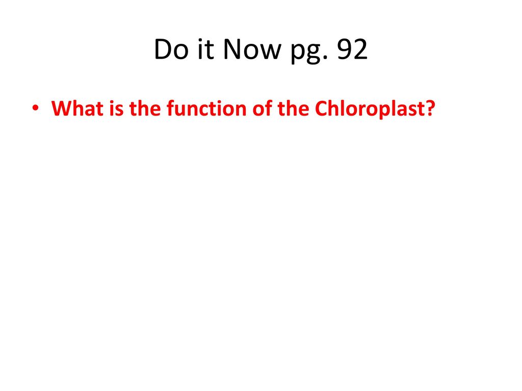 Do it Now pg. 92 What is the function of the Chloroplast