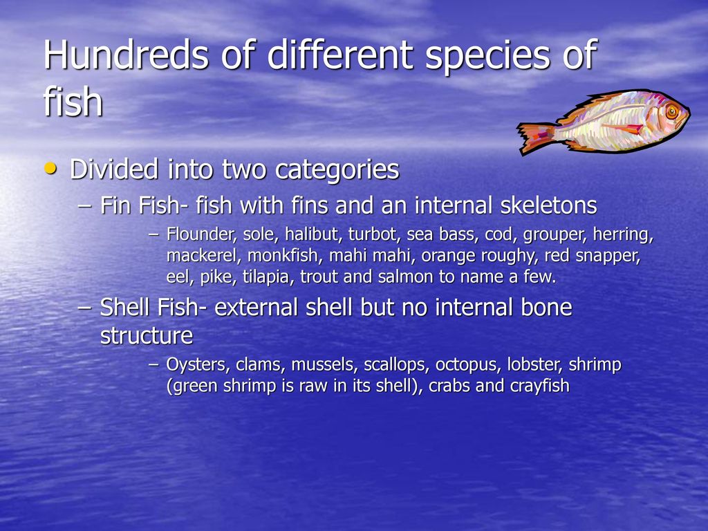Kinds of White Fish - Differences and Substitutions - TheCookful