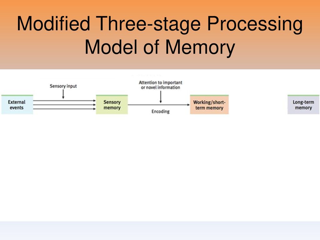 Modified Three-stage Processing Model of Memory