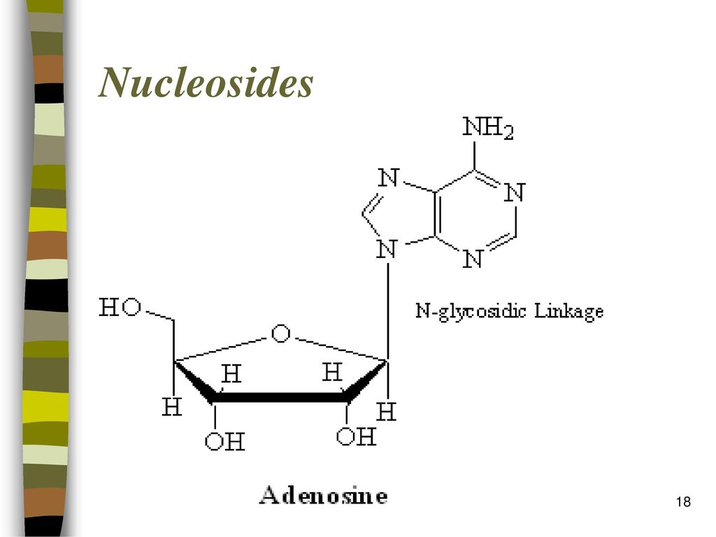 Nucleosides