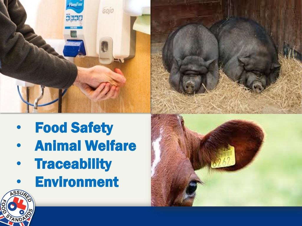 Assured Food Standards - ppt download Assured Food Standards - ppt download