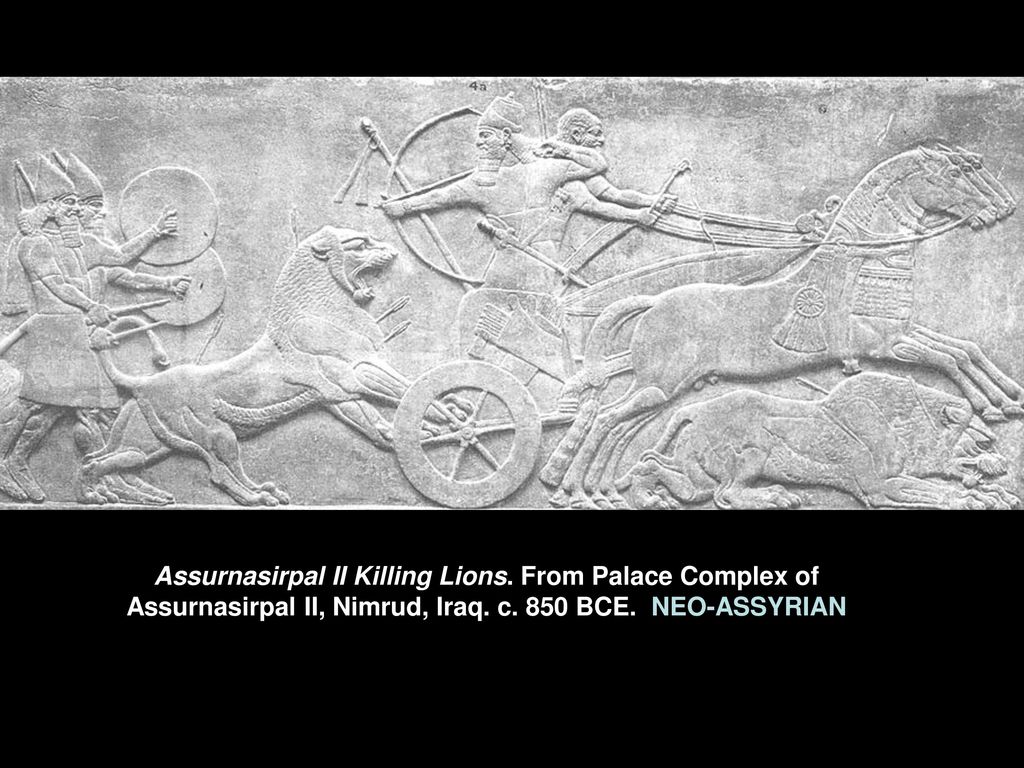 assurnasirpal ii killing lions