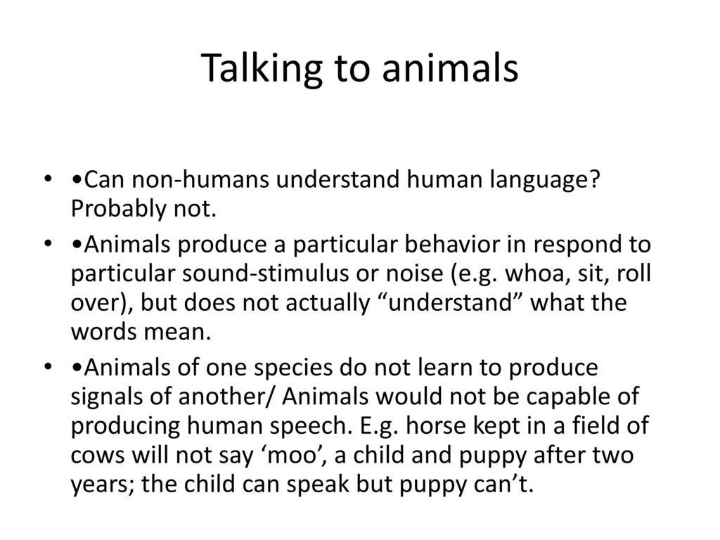 Animal and Human Language - ppt download