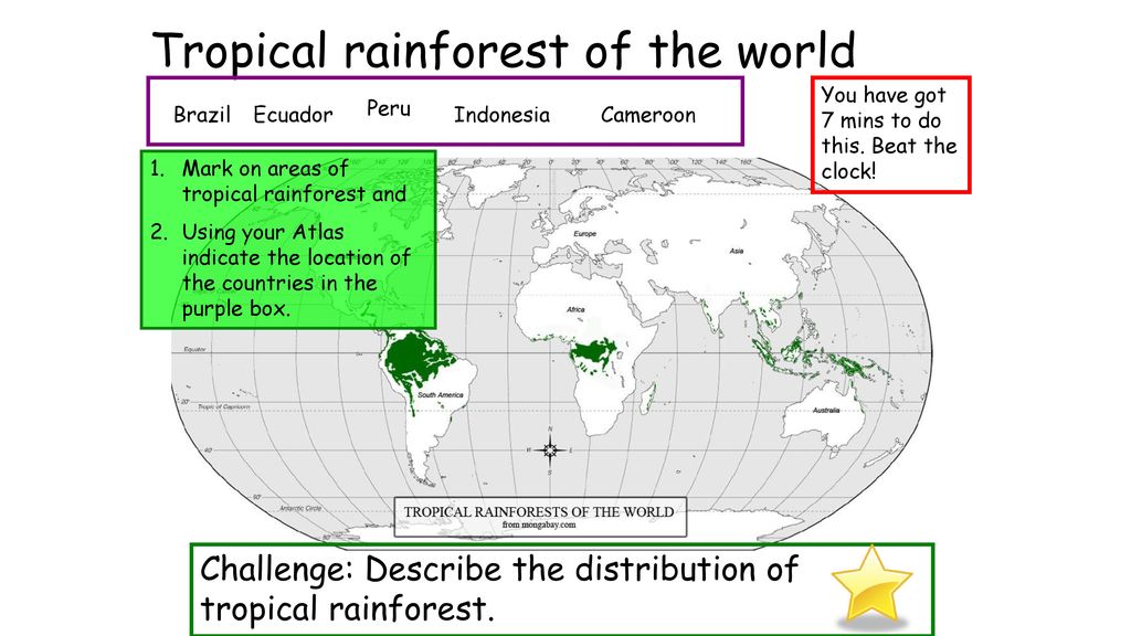 3 Countries Where Rainforests Are Located Ppt Download