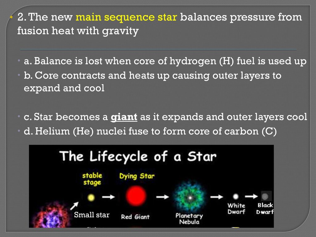 2. The new main sequence star balances pressure from fusion heat with gravity