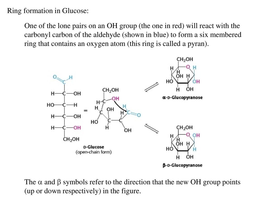 Ring formation in Glucose: