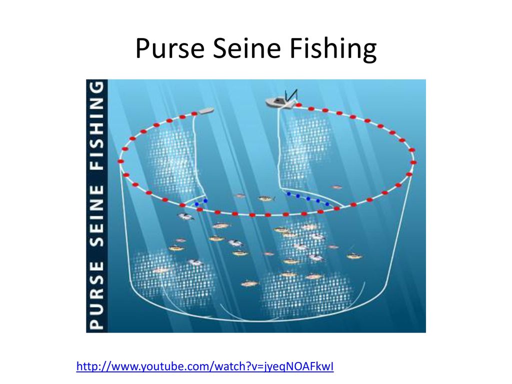 Purse Seine Fishing Weekender Tote Bag by James Williamson - Pixels