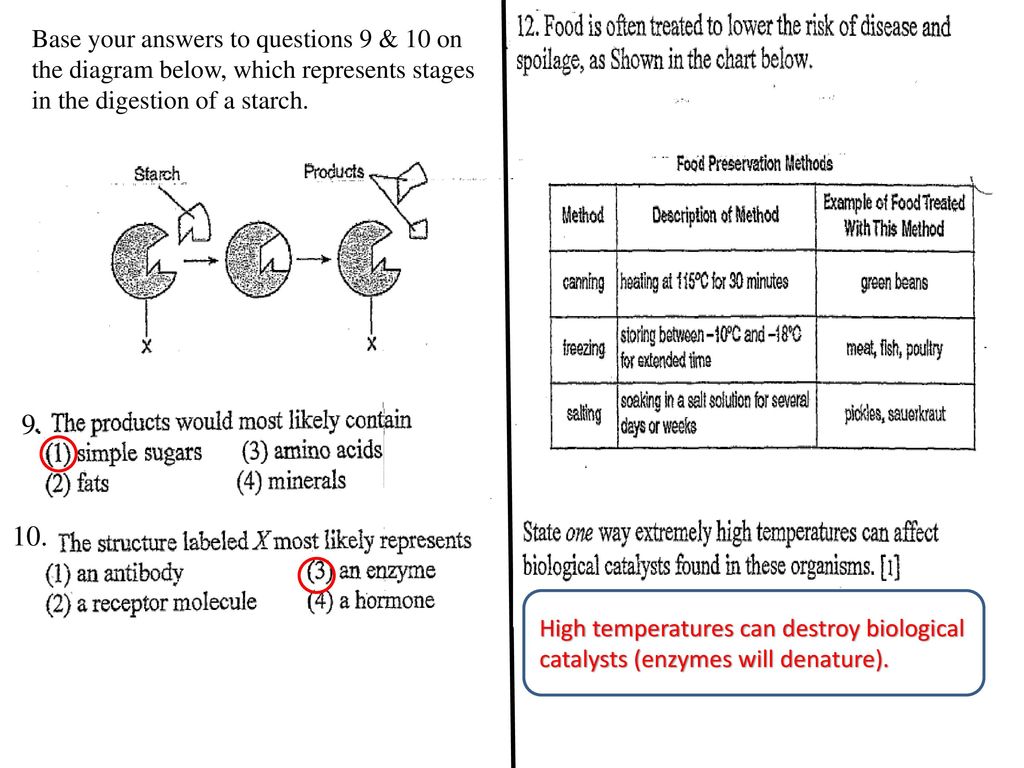 BIOCHEMISTRY REGENTS REVIEW - ppt download