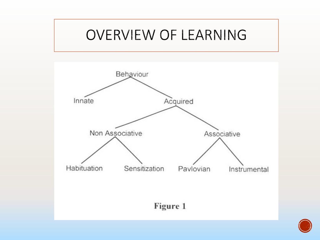 Overview of Learning 308 will work through the different levels of this tree. 3 types: Non associative: