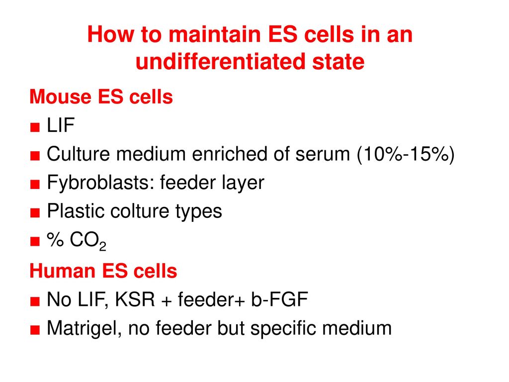 Embryonic Stem Cell Ppt Download