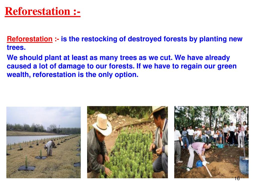 CONSERVATION OF PLANTS AND ANIMALS - ppt download