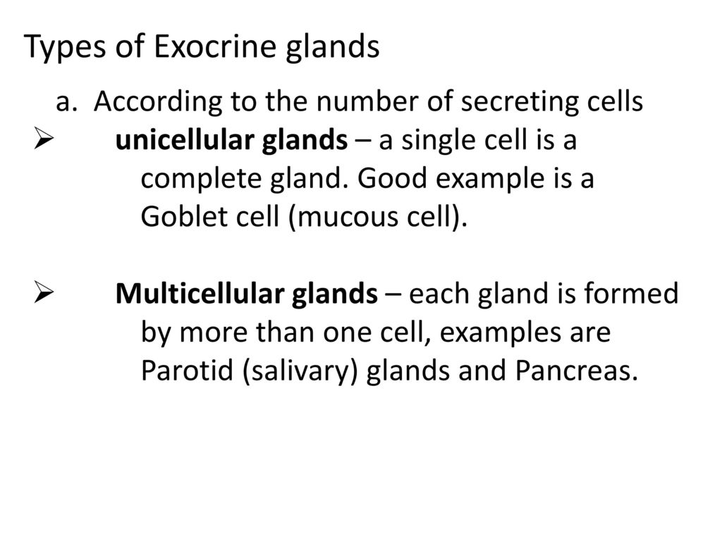 Introduction Types Of Glands Classification Functions Of Glands Ppt Download Introduction Types Of Glands Classification Functions Of Glands Ppt Download