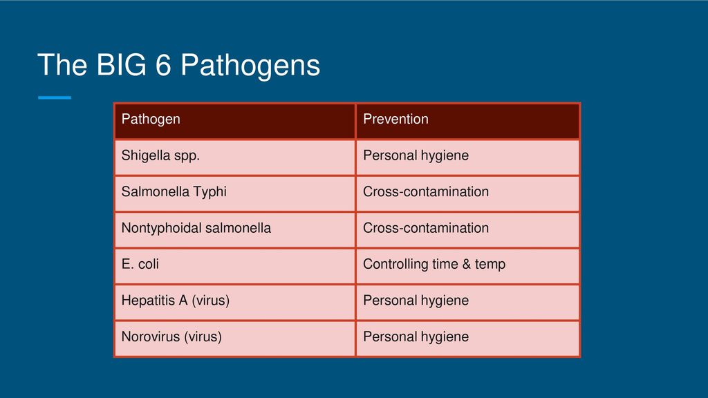 Kitchen Brains On X These Five Food borne Pathogens Are 49 OFF kitchen-brains-on-x-these-five-food-borne-pathogens-are-49-off