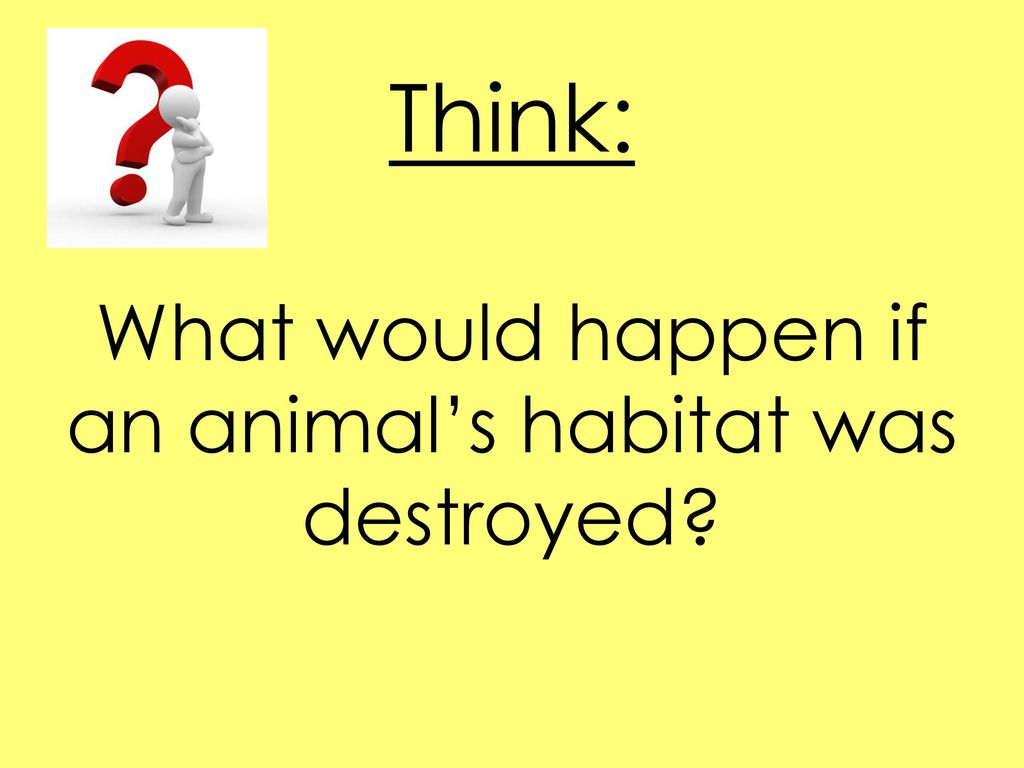 Think: What would happen if an animal’s habitat was destroyed