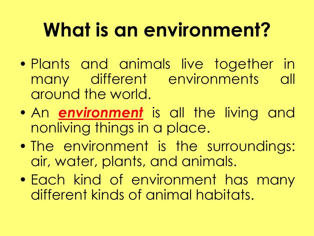 What is an environment Plants and animals live together in many different environments all around the world.