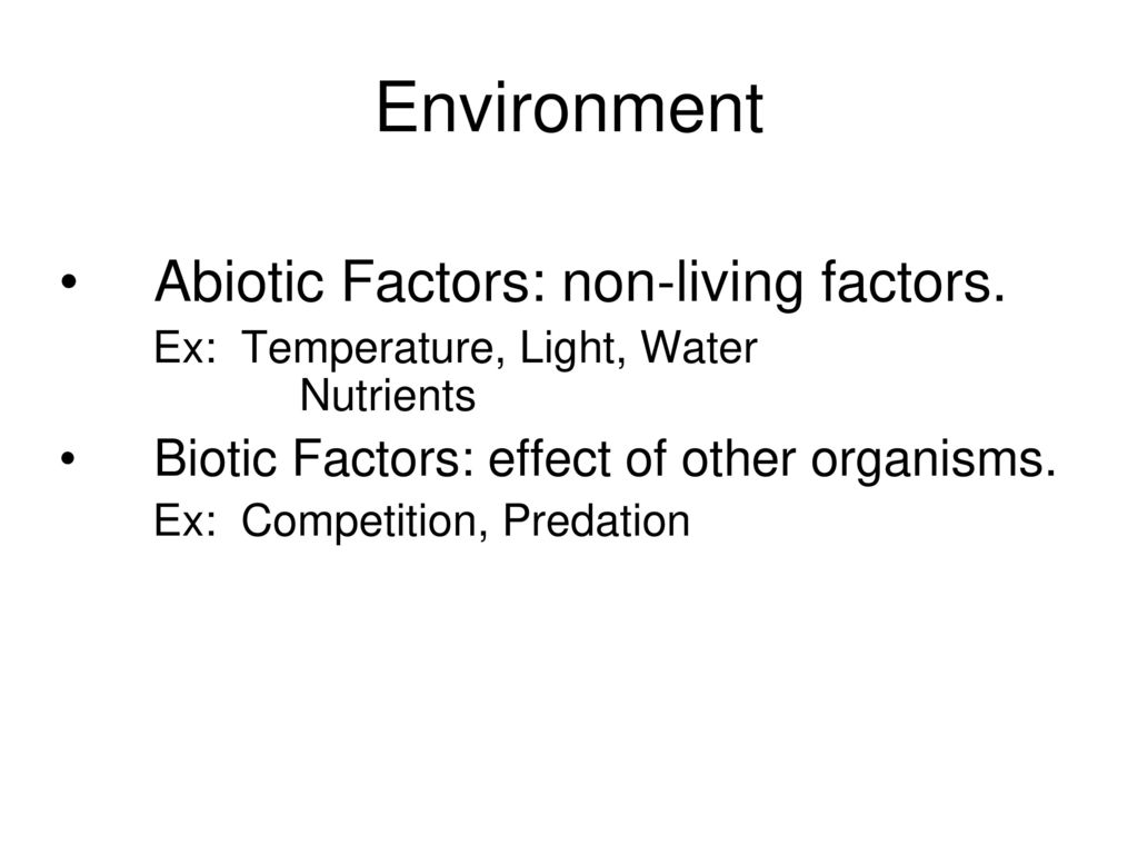 Ekofizyoloji Ecophysiology. - ppt download