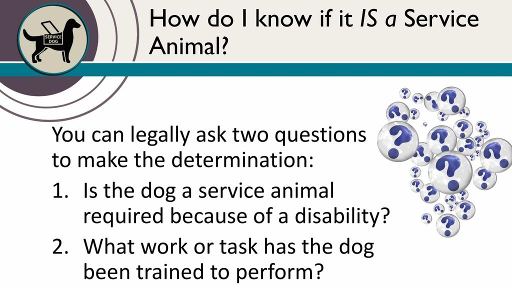 Assistance Animals and the Law - ppt download