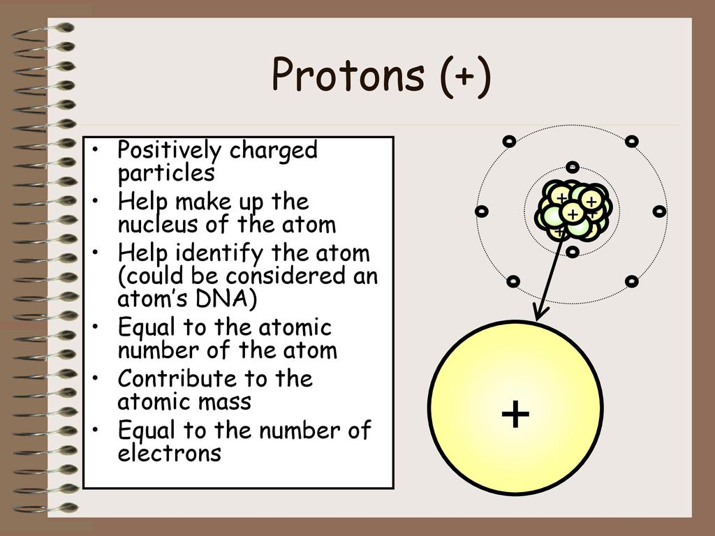 + Protons (+) Positively charged particles