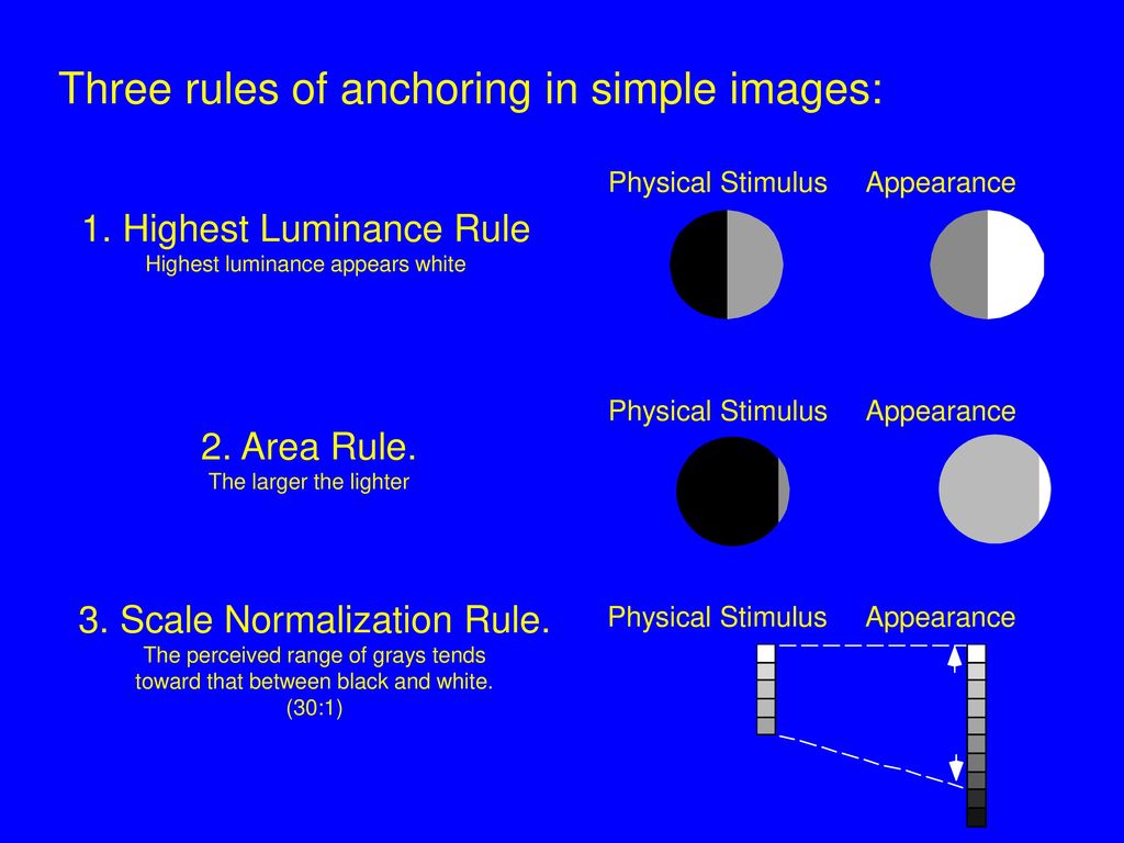 Three rules of anchoring in simple images: