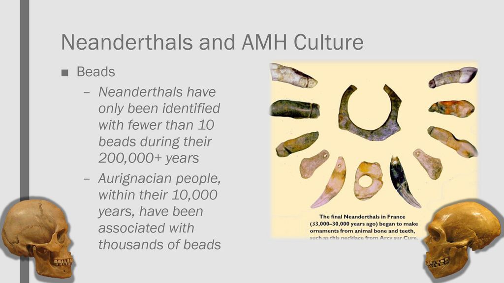 Modern Human Incursion Into Neanderthal Territories 54,000, 44% OFF