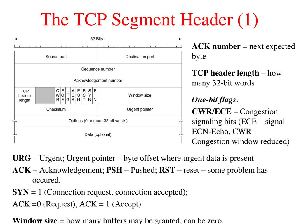 The transport layer tcp ppt download
