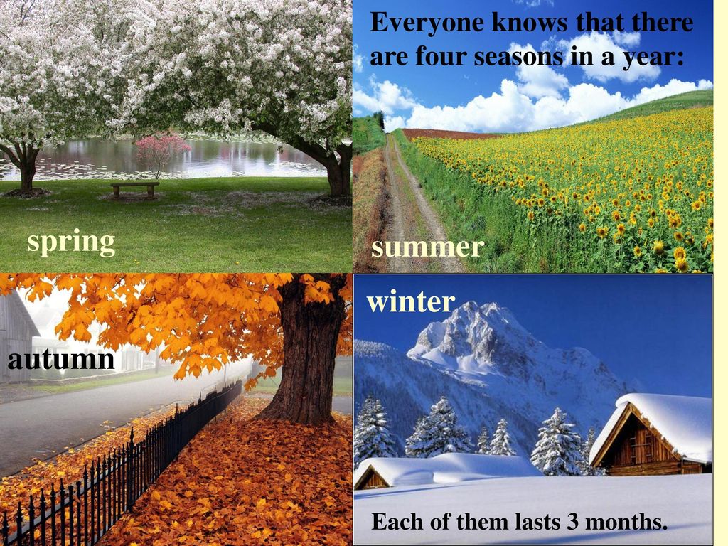 There are four seasons. 4 Seasons in a year.