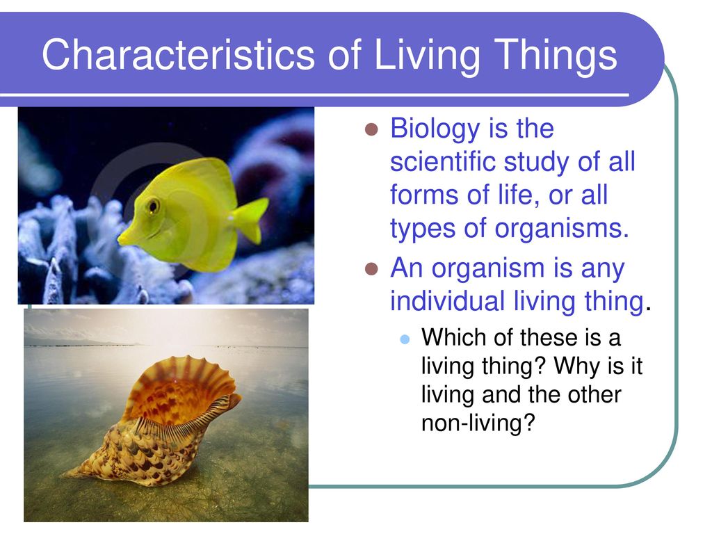 Biology in the 21st Century - ppt download