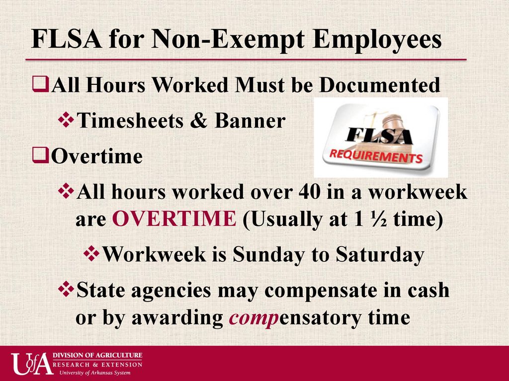 Agenda Fair Labor Standards Act (flsa) Division & Ces Policies - Ppt 