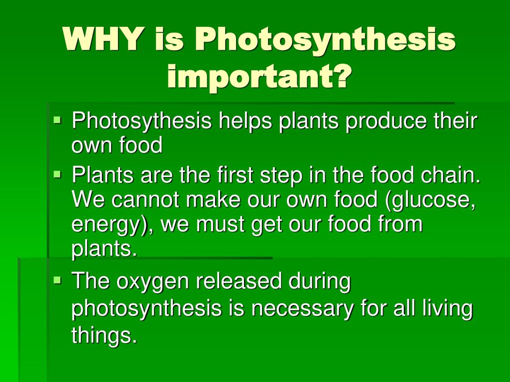 Photosynthesis and Respiration - ppt download