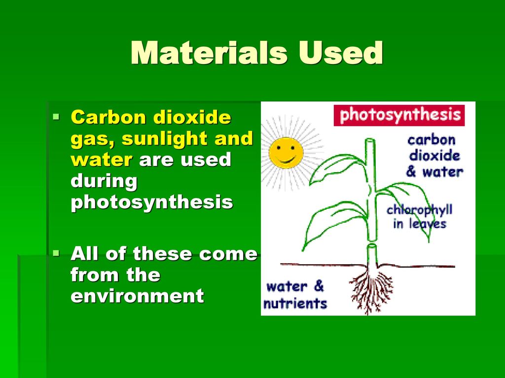 Use carbon dioxide. Photosynthesis mechanism. The process of Plant respiration. Photosynthesis simple presentation 9th Grade.