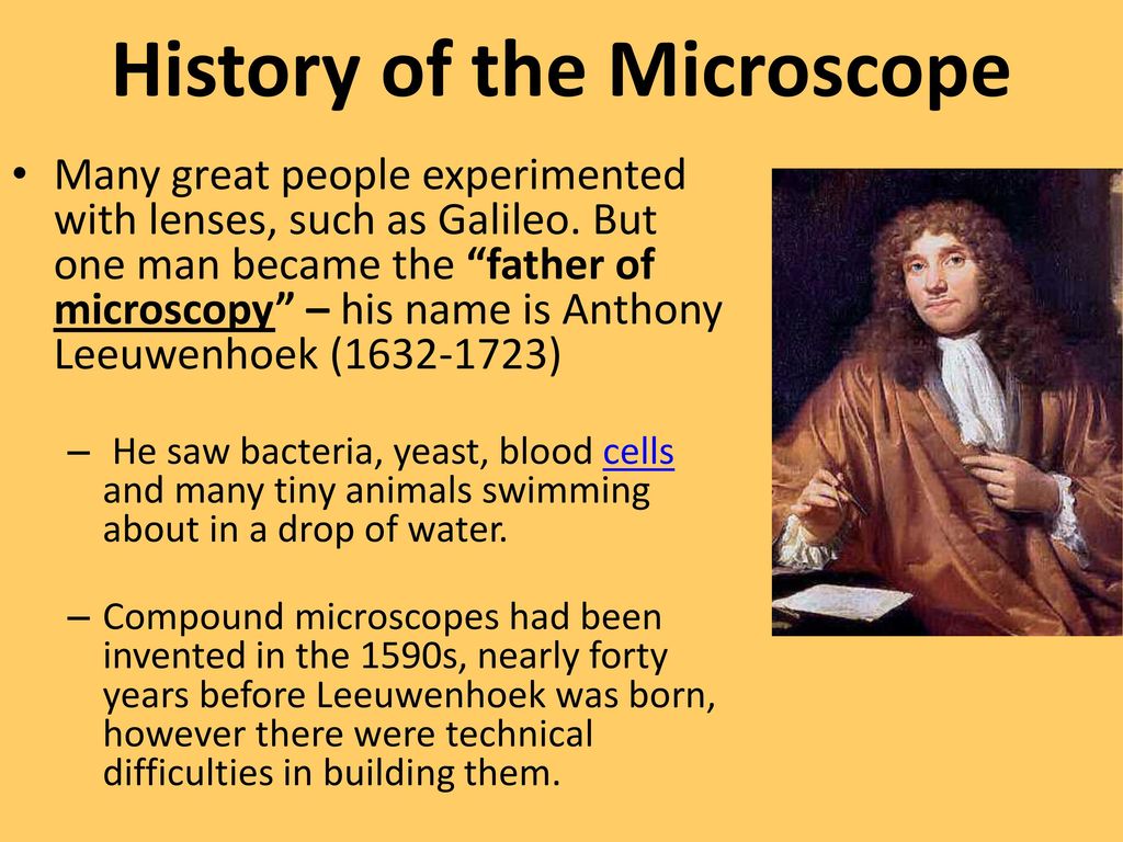History, Parts, & Functions - ppt download