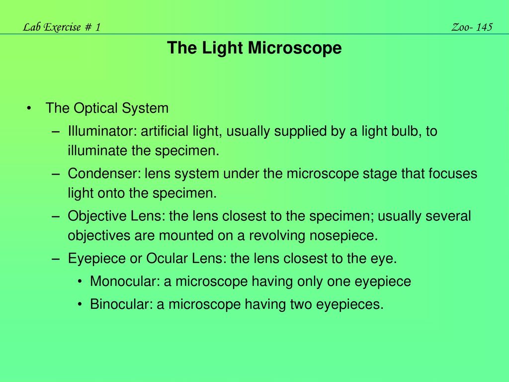 Microscopy OBJECTIVE: STRUCTURE, FUNCTION AND - ppt download