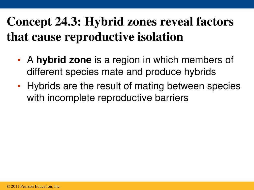 Concept 24.3: Hybrid zones reveal factors that cause reproductive isolation