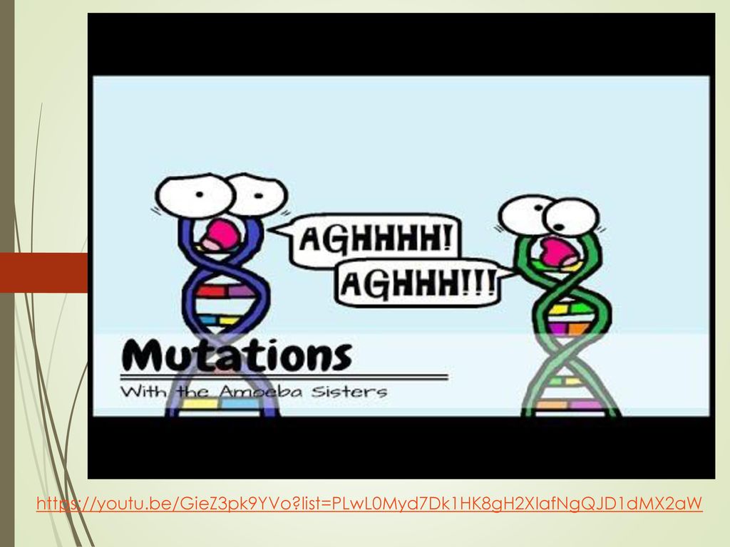 Explain the 3 possible effects of mutation on organisms. 