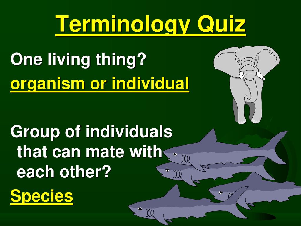 Terminology Quiz One living thing organism or individual