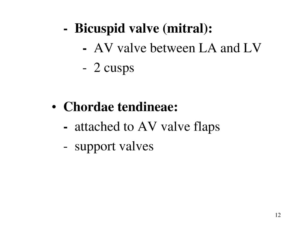 Chapter 12 Lecture Slides - ppt download