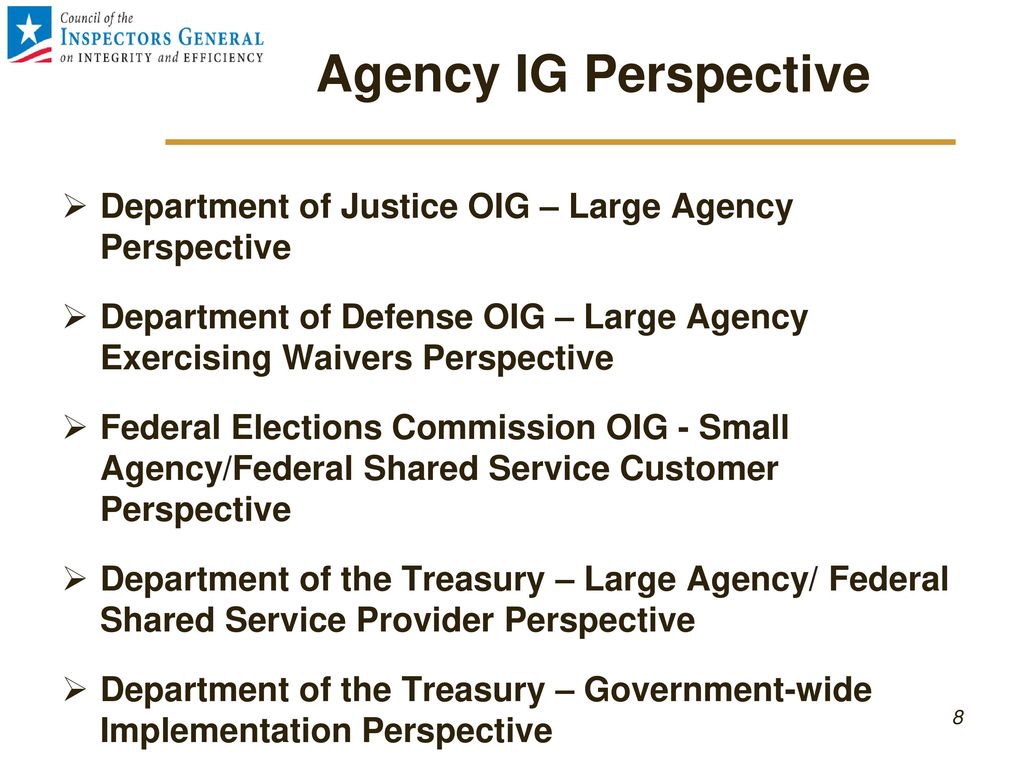 Agency IG Perspective Department of Justice OIG – Large Agency Perspective. Department of Defense OIG – Large Agency Exercising Waivers Perspective.