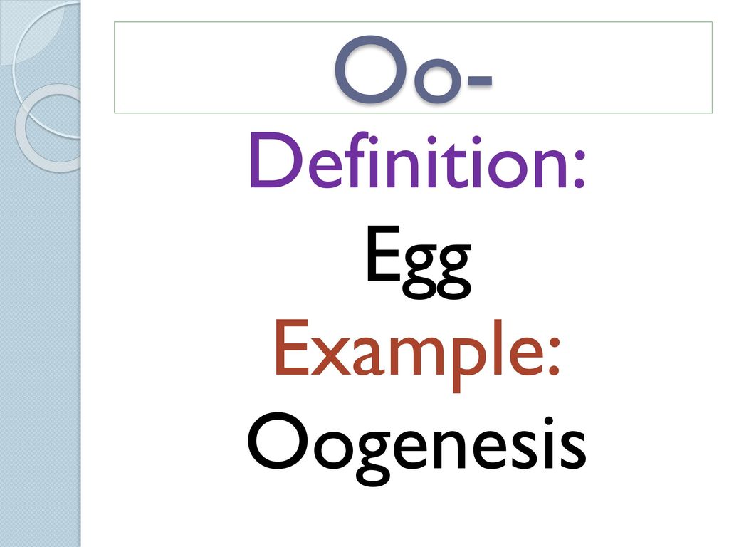 Definition: Egg Example: Oogenesis