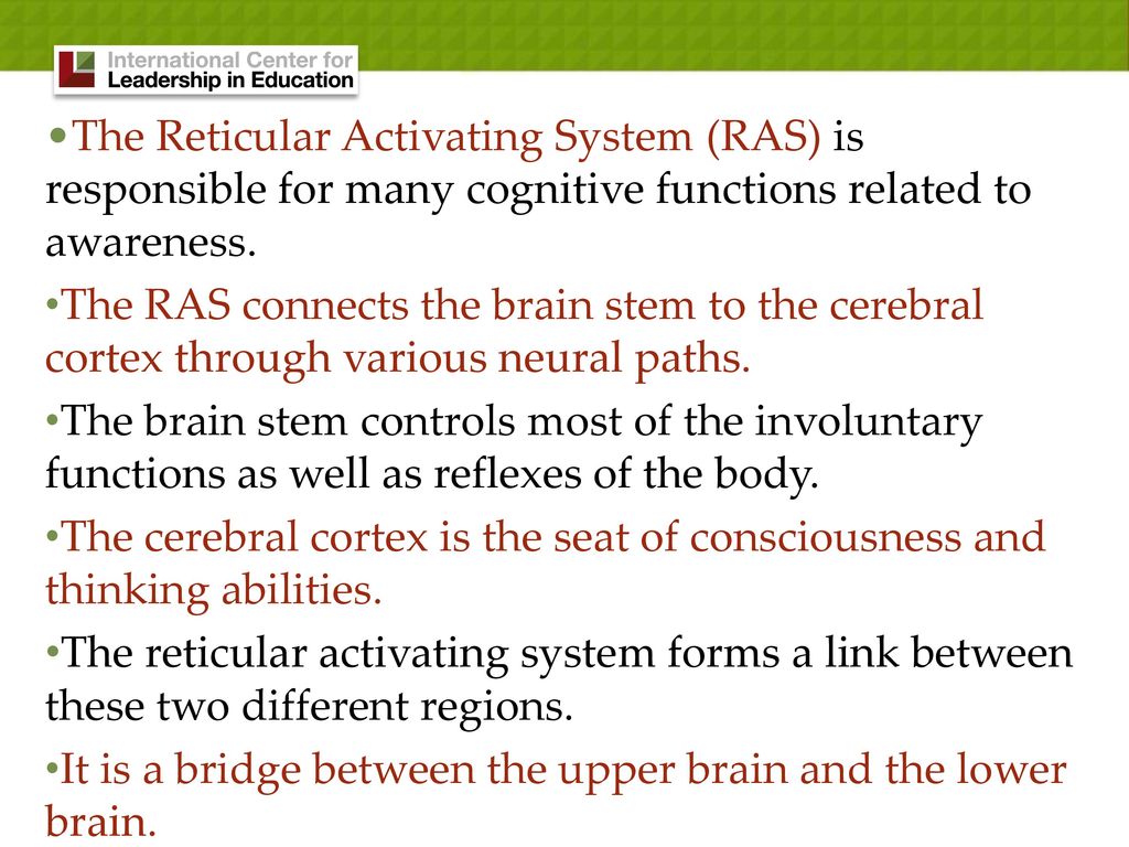 The Reticular Activating System (RAS) is responsible for many cognitive functions related to awareness.