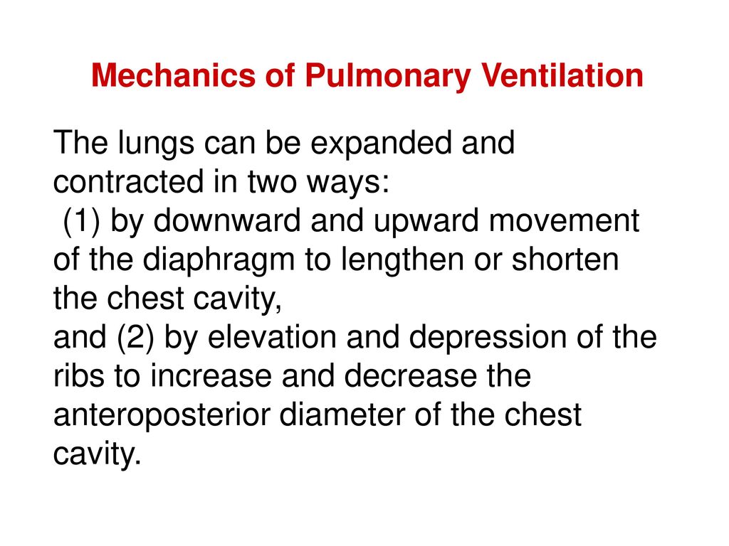 Pulmonary Ventilation - ppt download