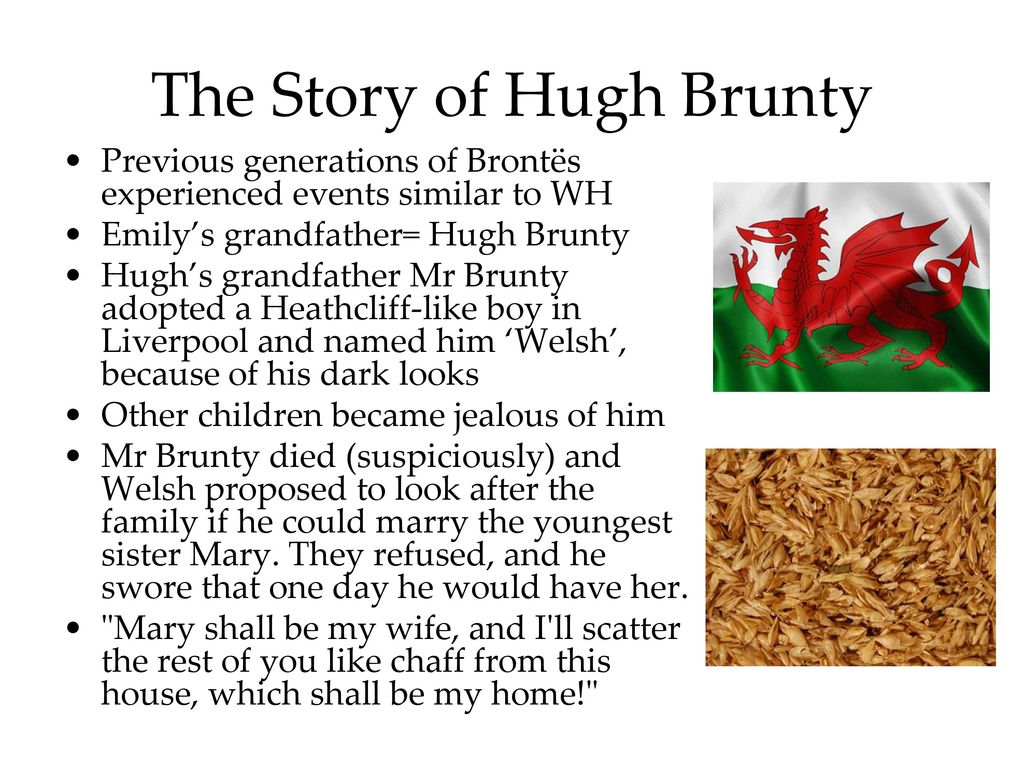 The Story of Hugh Brunty