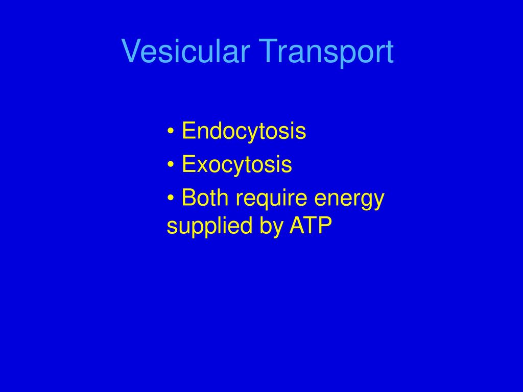 Endocytosis Exocytosis Both require energy supplied by ATP