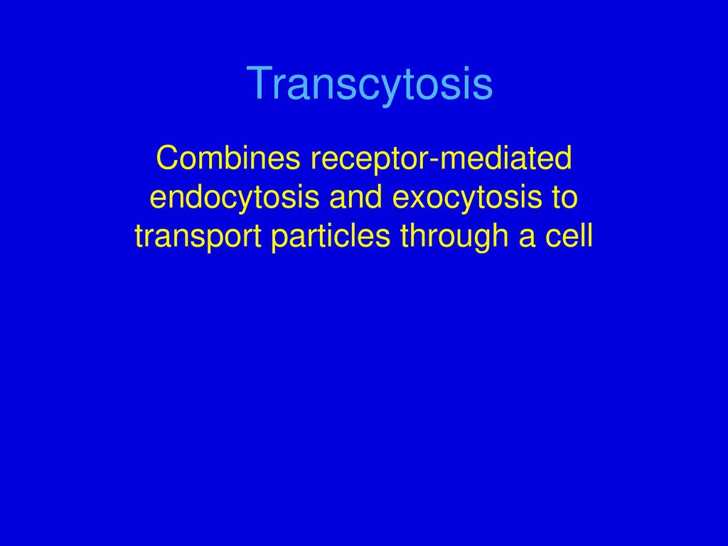 Transcytosis Combines receptor-mediated endocytosis and exocytosis to transport particles through a cell.