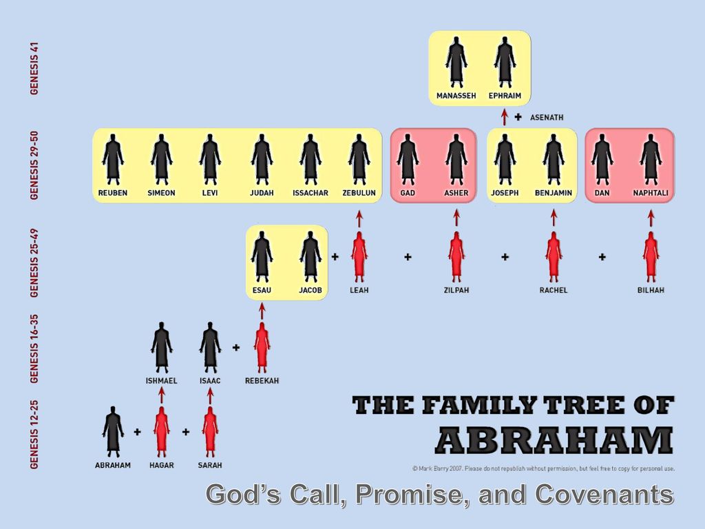 God’s Call, Promise, and Covenants