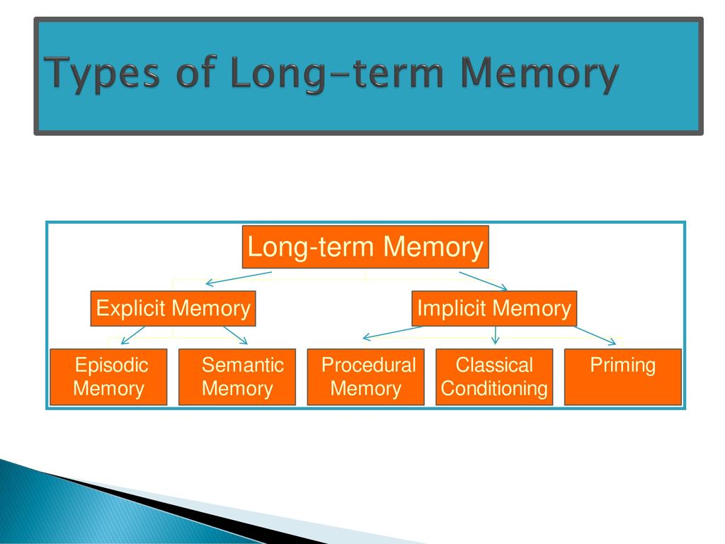 The Phenomenon of Memory - ppt download